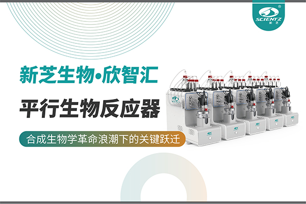 培养菌株和评估工艺参数影响太难太慢？平行生物反应器提供关键解决方案！